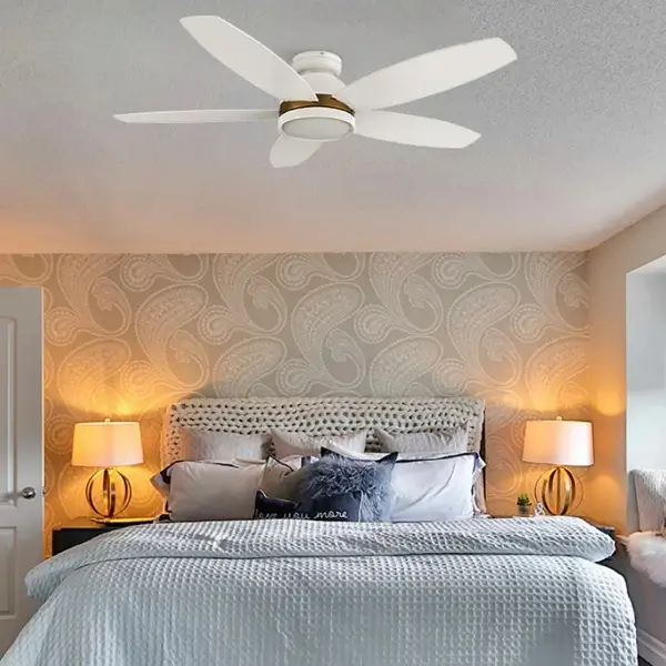 bedroom with a ceiling fan on the ceiling